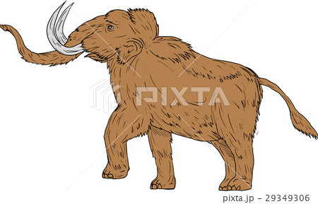Woolly Mammoth Prancing Drawing Woolly Mammoth Prancing Drawing 29349306
