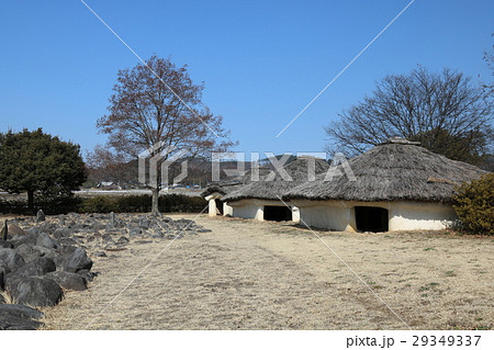 金生遺跡 金生遺跡 29349337
