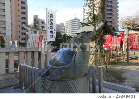 葛飾区香取神社 狛亀 葛飾区香取神社 狛亀 29349401