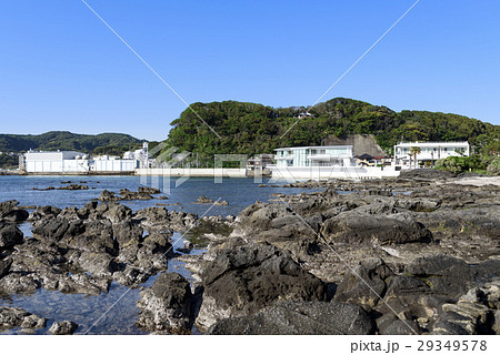 天神島　磯場　潮だまり 29349578