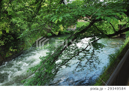 新緑の琵琶湖疎水 29349584