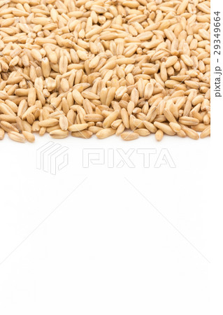 オートグローツ(ホールオーツ): Whole oats オートグローツ(ホールオーツ): Whole oats 29349664