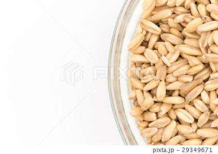 オートグローツ（ホールオーツ）: Whole oats 29349671