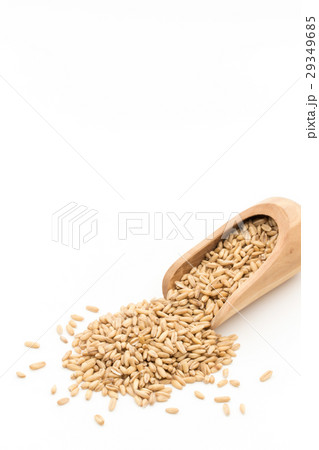 オートグローツ（ホールオーツ）: Whole oats 29349685