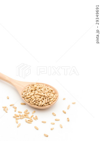 オートグローツ（ホールオーツ）: Whole oats 29349691