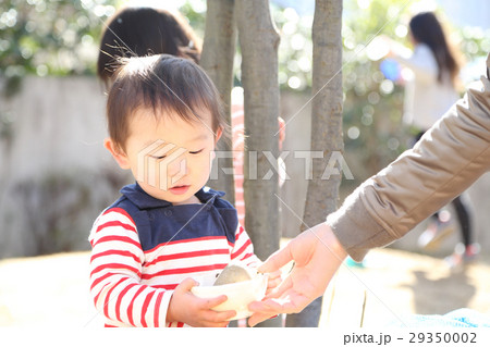 公園で遊ぶ子供たち 公園で遊ぶ子供たち 29350002