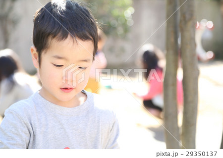 おままごとをする幼稚園児 おままごとをする幼稚園児 29350137
