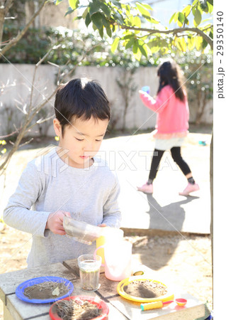 おままごとをする幼稚園児 29350140