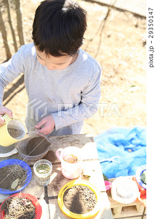 おままごとをする幼稚園児 29350147