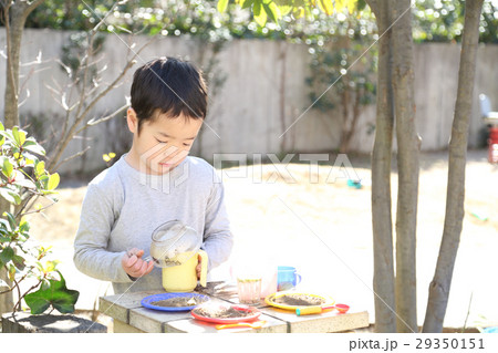 おままごとをする幼稚園児 おままごとをする幼稚園児 29350151