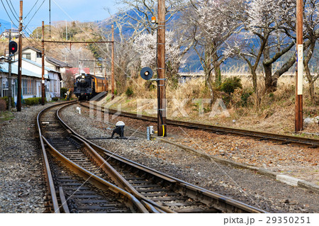 大井川鉄道の蒸気機関車と青空 大井川鉄道の蒸気機関車と青空 29350251