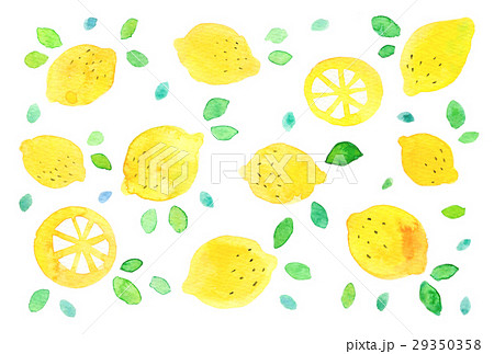 背景素材 水彩 レモンのイラスト素材