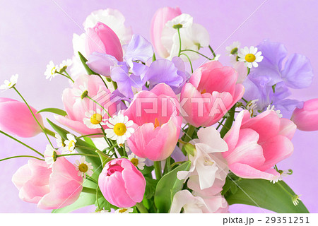 チューリップとスイートピーアレンジの写真素材