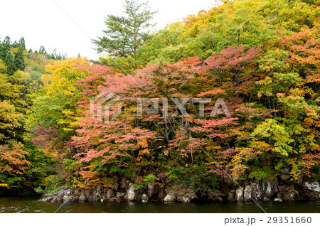 秋の太平湖 秋田県 秋の太平湖 秋田県 29351660