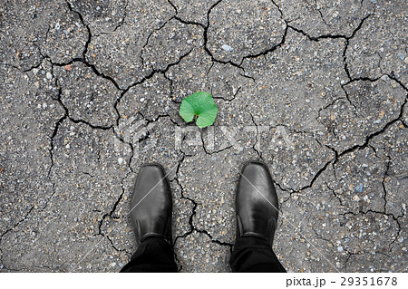 Black shoes and hope for environment Black shoes and hope for environment 29351678