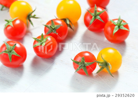 ミニ プチ トマト ミニ プチ トマト 29352620