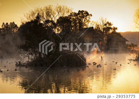 浮島神社の池 29353775
