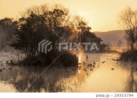 浮島神社の池 29353794