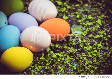 Happy Easter day, bunny and egg, Christians Happy Easter day, bunny and egg, Christians 29354659