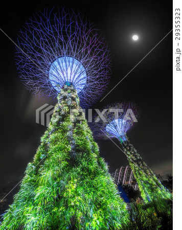Gardens by the Bay in Singapore Gardens by the Bay in Singapore 29355323