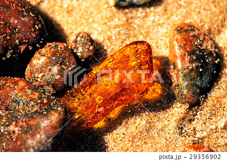 Amber on a beach of the Baltic Sea Amber on a beach of the Baltic Sea 29356902