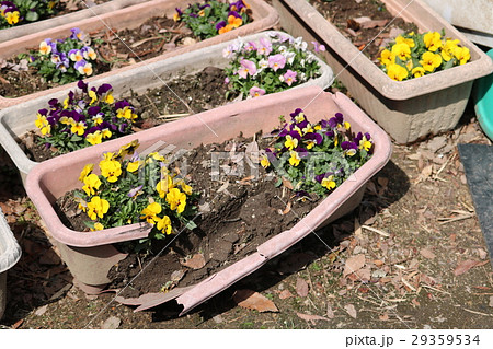 自動車事故 29359534