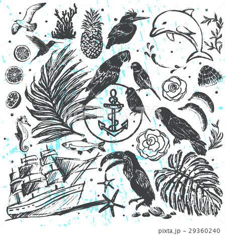 All about Tropical Sea Vacations elements 29360240