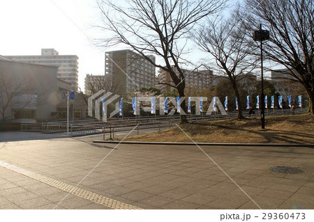 光が丘公園 ふたご橋 光が丘公園 ふたご橋 29360473