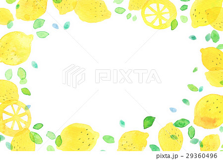 背景素材　水彩　レモン 29360496