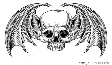 Grim Reaper Winged Skull 29361126