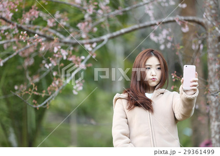 Asian woman selfie with cherry blossom sakura Asian woman selfie with cherry blossom sakura 29361499