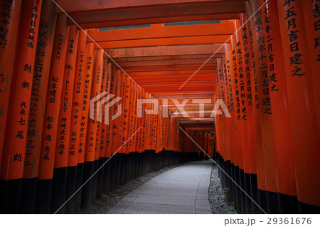 Red Tori Gate at Fushimi Inari Shrine in Kyoto Red Tori Gate at Fushimi Inari Shrine in Kyoto 29361676