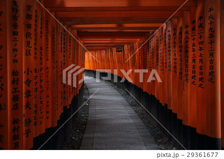 Red Tori Gate at Fushimi Inari Shrine in Kyoto Red Tori Gate at Fushimi Inari Shrine in Kyoto 29361677
