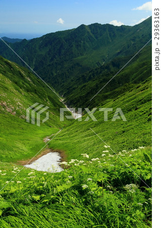 飯豊連峰稜線のお花畑と飯豊本山の眺め 29363163