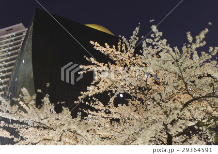 東京・浅草　スーパードライホールと夜桜 29364591