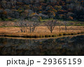 朝の覚満淵 29365159