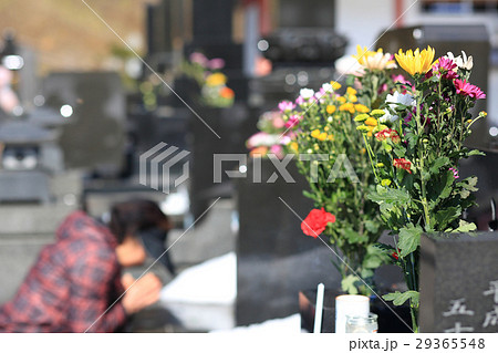 お墓参り お彼岸の供え物の菊の花 お墓参り お彼岸の供え物の菊の花 29365548