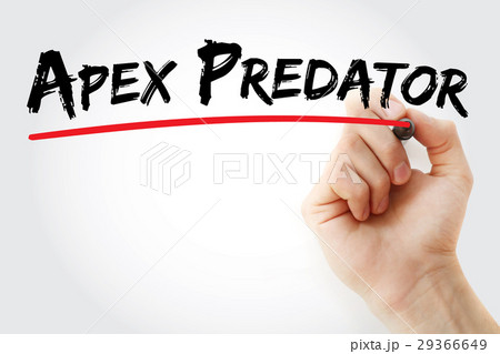 Hand writing Apex predator with marker 29366649