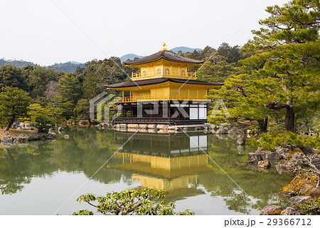 早春の金閣鹿苑寺 29366712