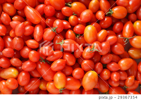 Fresh tomatoes. Fresh tomatoes. 29367354