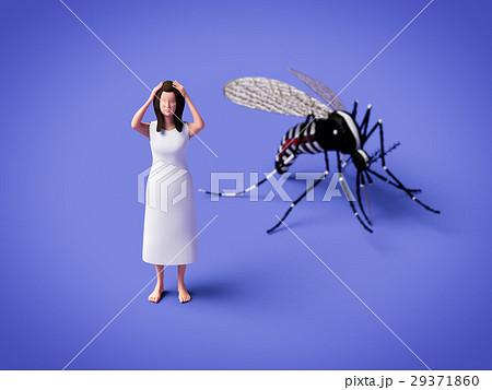 蚊に悩む女性 蚊に悩む女性 29371860