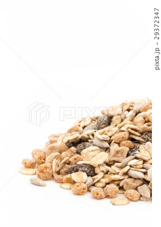 ミューズリー: Muesli ミューズリー: Muesli 29372347