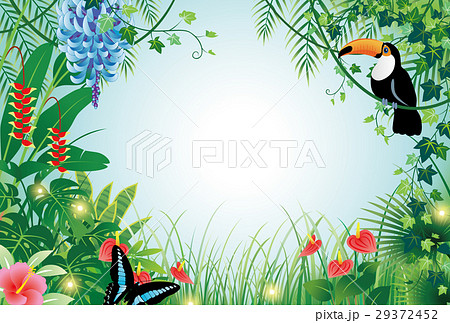 森の風景のイラスト素材 29372452 Pixta