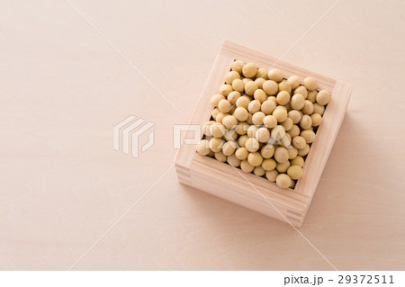 大豆 大豆 29372511