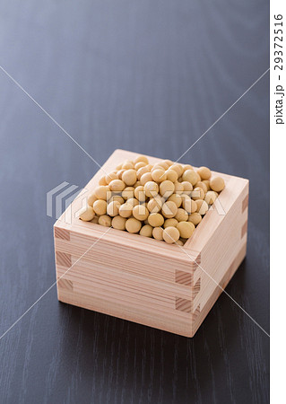 大豆 大豆 29372516