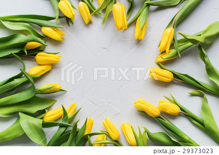 Yellow Spring Tulips Botanical Art Round Frame 29373023