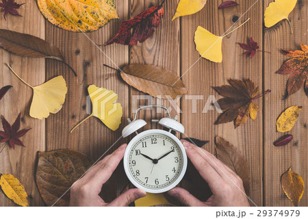 時計と落葉 時計と落葉 29374979