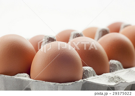 卵 たまご 玉子 29375022