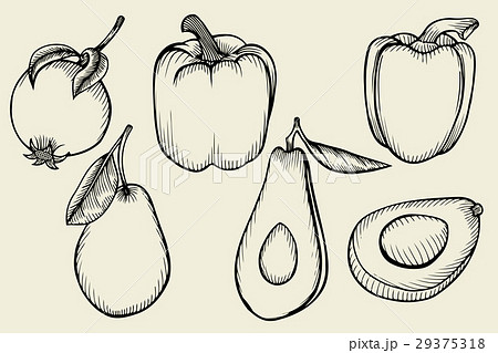 set fruits and vegetables 29375318