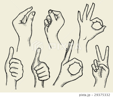 Set of Four Hands 29375332